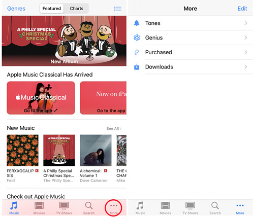 購入済みをタップ | Apple Music ダウンロード制限