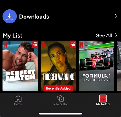 私のNetflix | Netflixで映画をダウンロードする方法