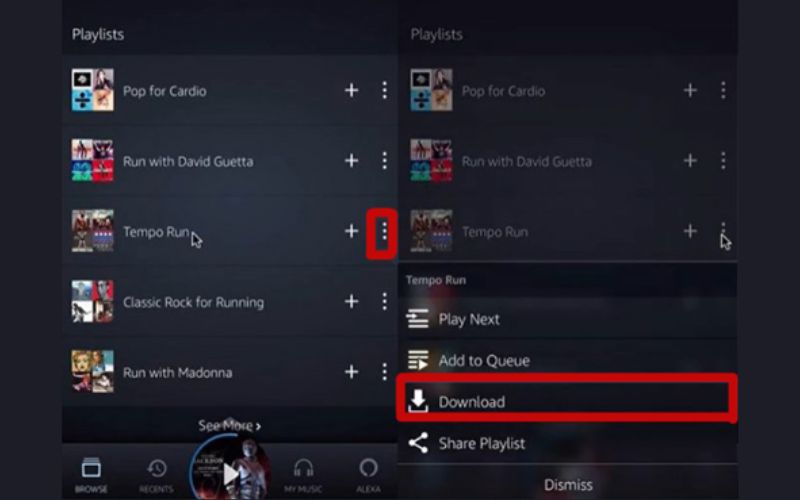 ダウンロードを選択 | Amazon MusicをSDカードにダウンロード