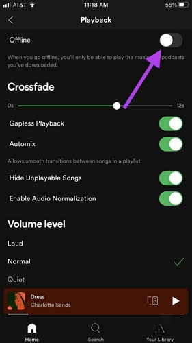 オフラインをオンにする | モバイルデータを使用して Spotify で曲をダウンロードする