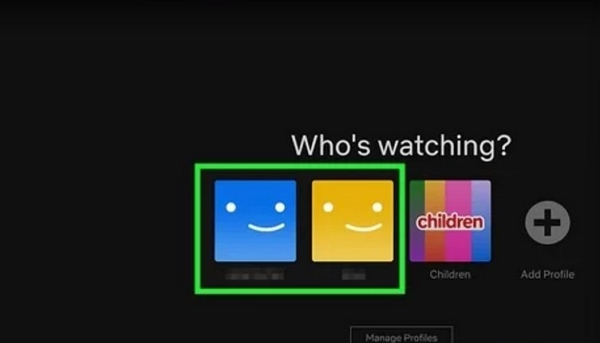 有効なNetflixのサブスクリプション | DiscordでNetflixをストリーミング配信する