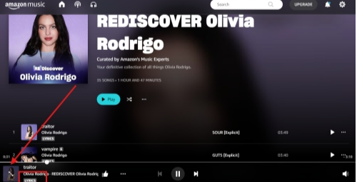 Web版では静的歌詞のみ表示され、再生やライセンスの制限により同期スクロール歌詞は利用できません。