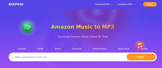 iPadを消去をタップ | Amazon MusicをMP3に変換する
