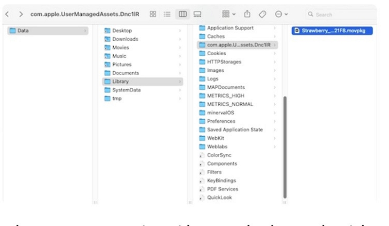 DRMファイル | アマゾン プライム ダウンロード 保存 先