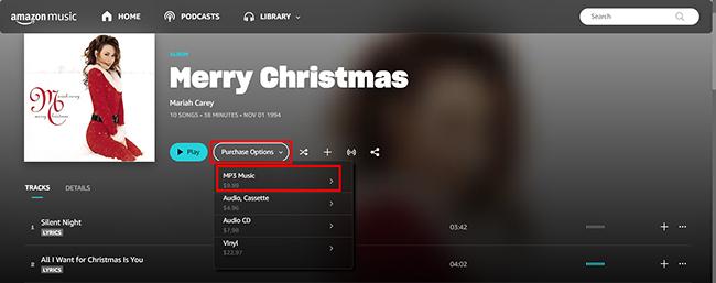 MP3ミュージックを選択 | Amazon MusicをiTunesまたはApple Musicにダウンロード